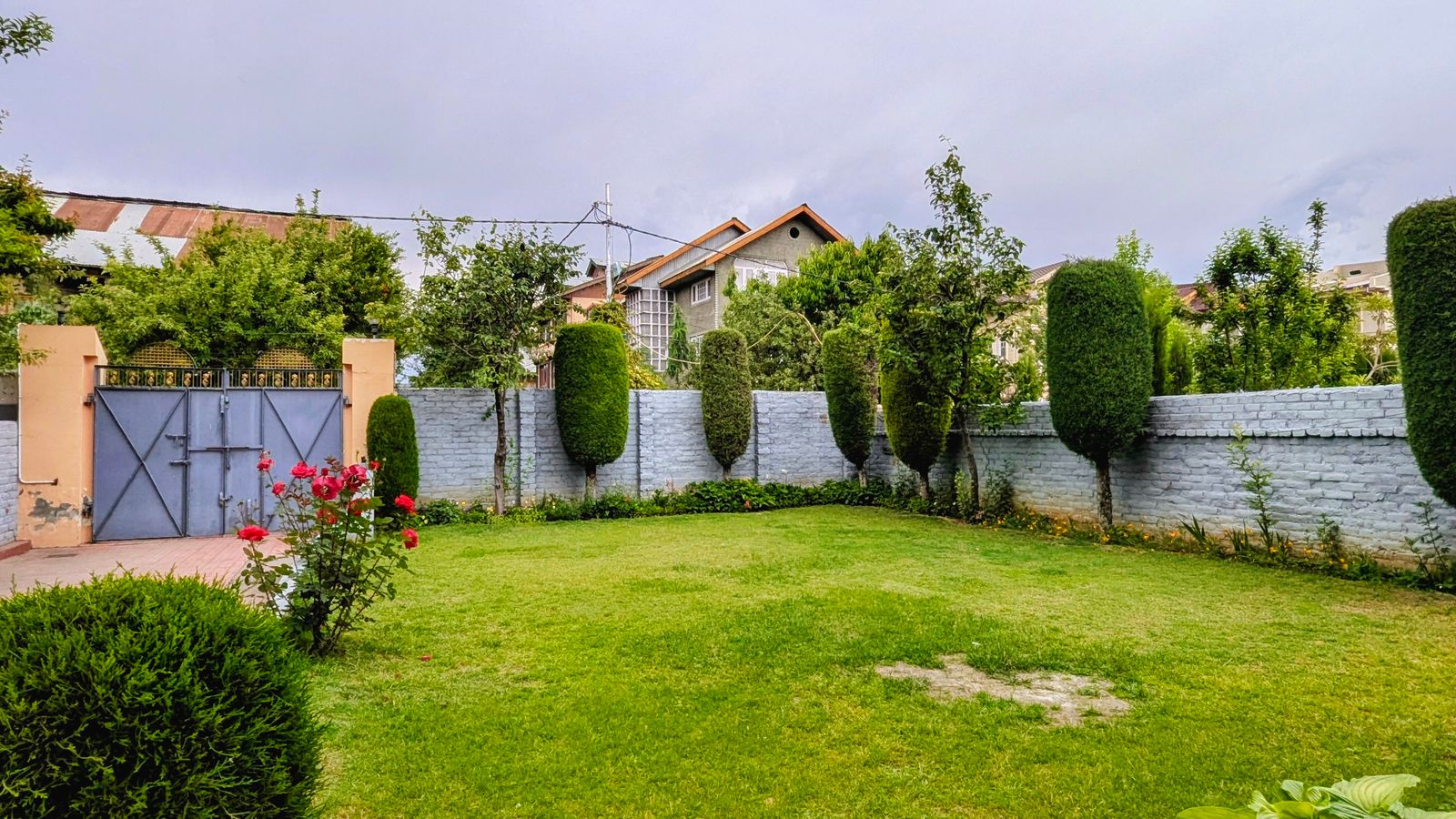 Designed residential garden with shaped hedges and layered planting